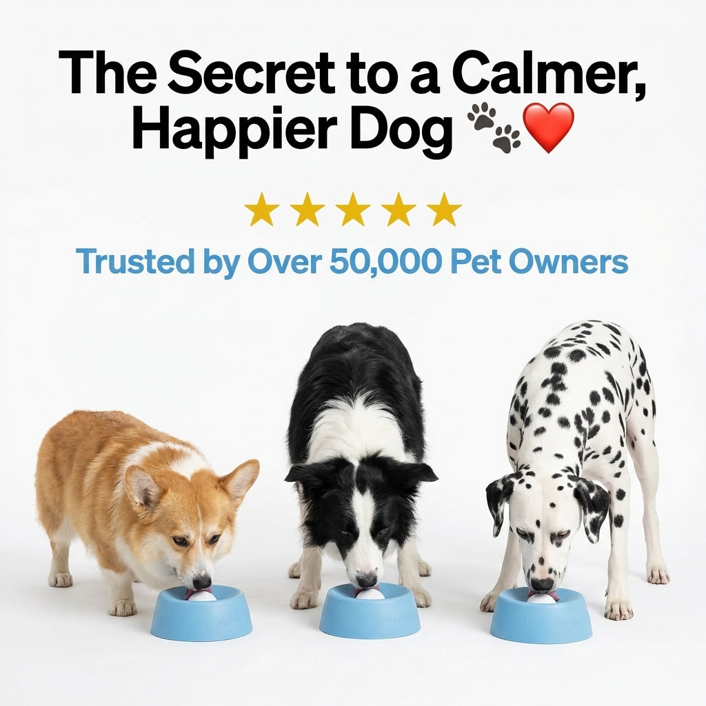 Dog Lick Calming Bowl