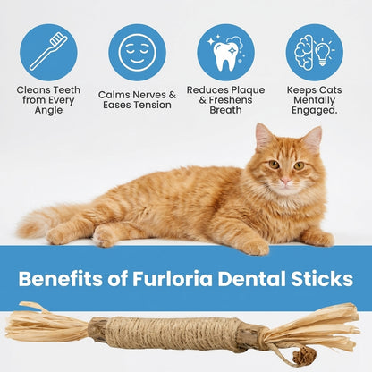 Natural Cat Dental Sticks