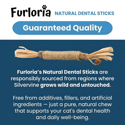 Natural Cat Dental Sticks